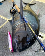 FISH TRIPPERS VILLAGE ESPUMA 220