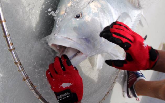 FISHERMAN 3D Fishing Gloves