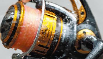 (JDM) Daiwa Onaga 尾長 Monster LBD