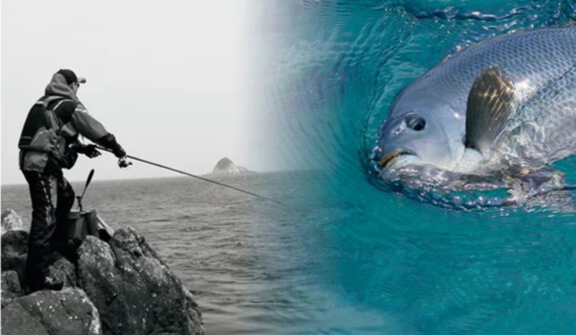 Autumn Fishing in Sydney: Species Guide for March-May