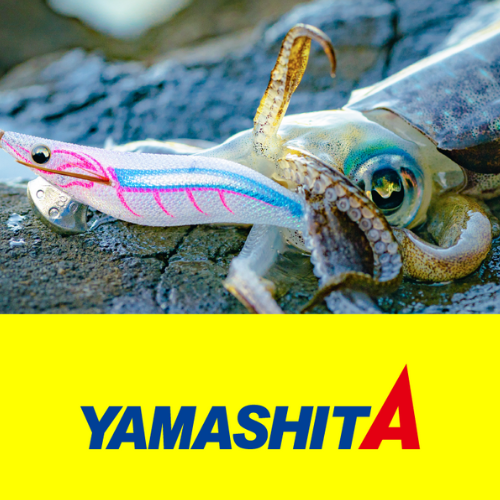 YAMASHITA