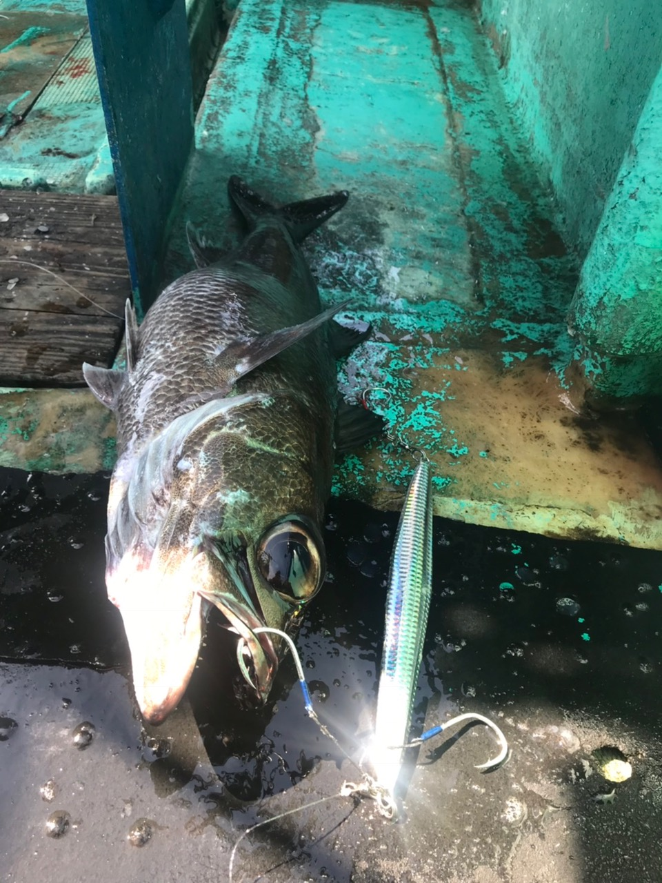 Suteki  Twin Assist Phantom (Black Assist Line)