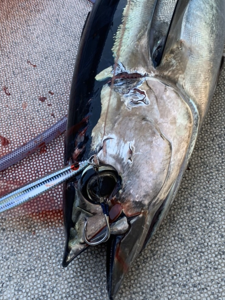 Suteki  Twin Assist Phantom (Black Assist Line)