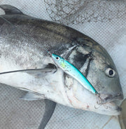 ATLANTIS FLAPPER 200F NEO Stickbaits