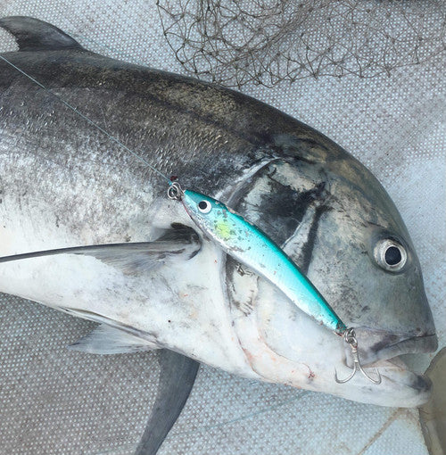 ATLANTIS FLAPPER 200F NEO Stickbaits