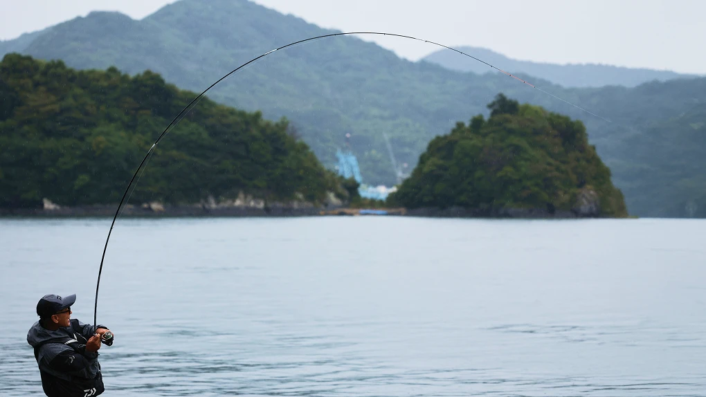 Daiwa Silver Wolf King Fang 银狼王牙 2026 ISO Fishing Rod