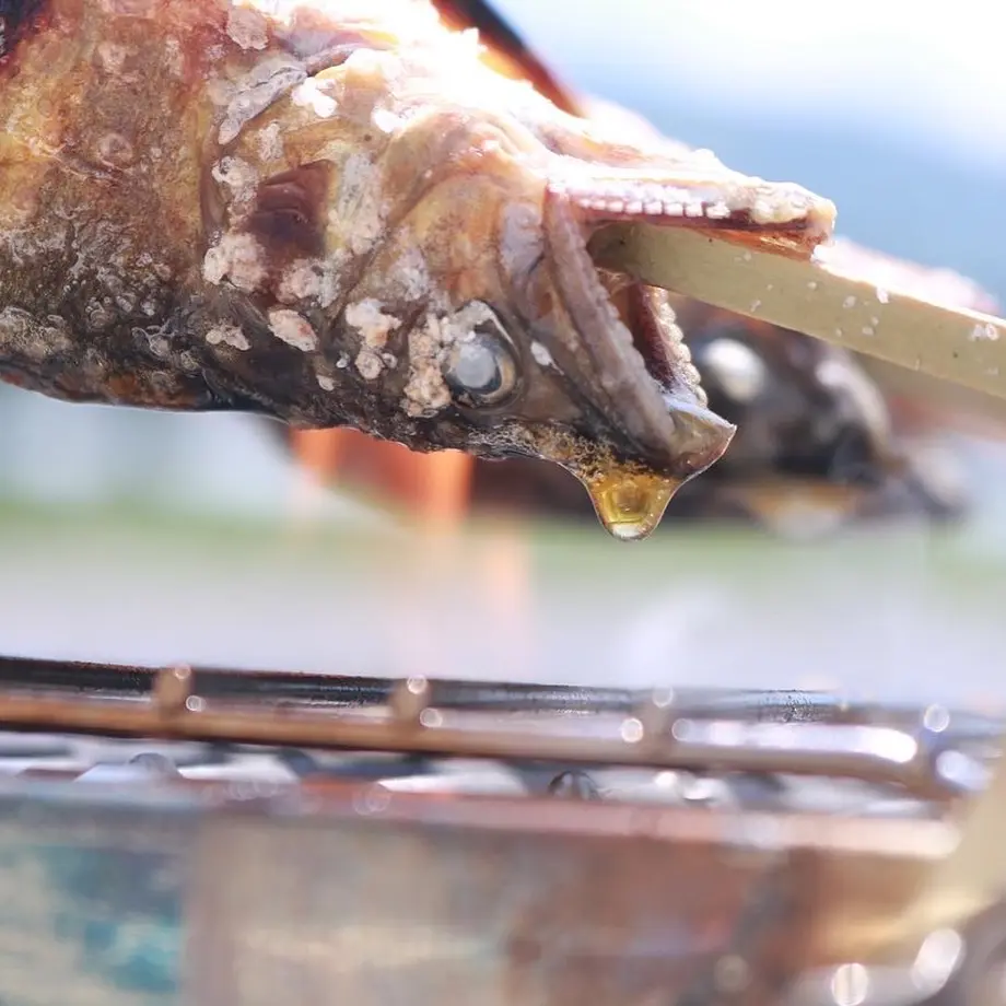 Tsurimusha Radiant Heat Grill Plate