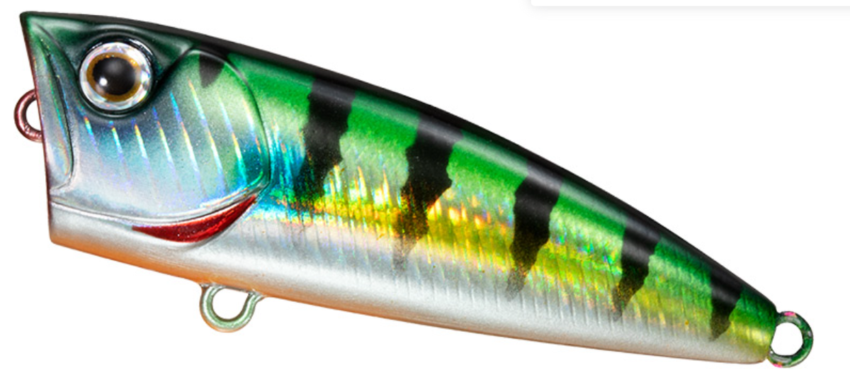 (JDM) DAIWA STEEZ POPPER 50F