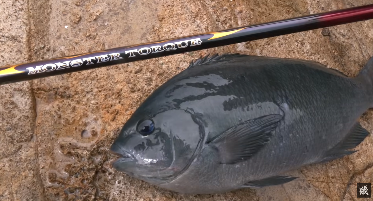 Daiwa Monster Torque Onaga MH-53 ISO Fishing Rod