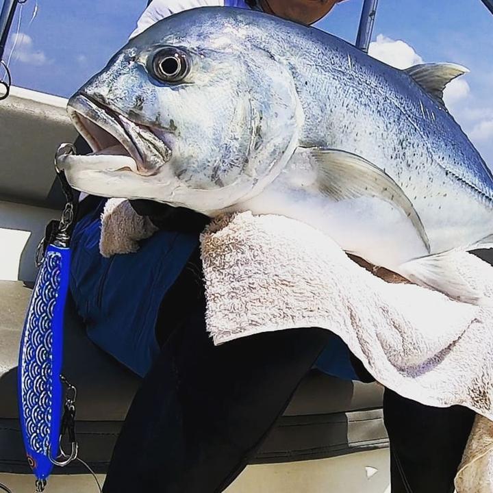 SKYGREY Koinobori Stickbait 200F-95 - X'mas Gift Ideas