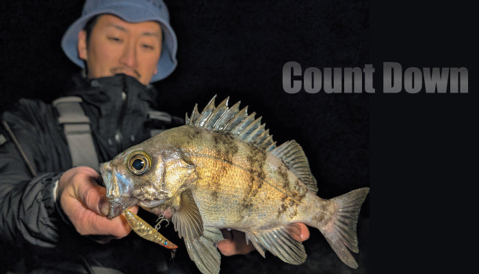 TICT Big-Hip 60 CD Sinking Micro Stickbait