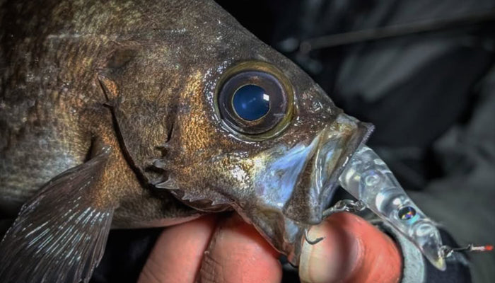 TICT Big-Hip 60 CD Sinking Micro Stickbait