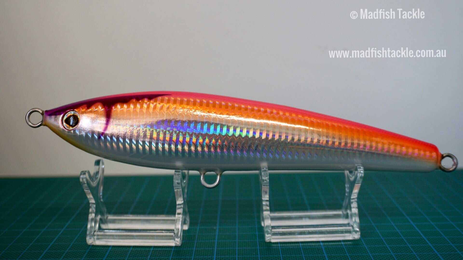 Mangrove Studio Volador 190F