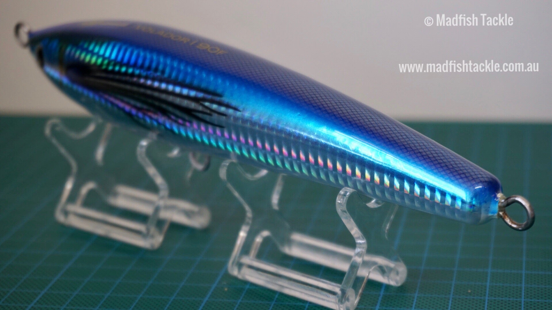 Mangrove Studio Volador 190F