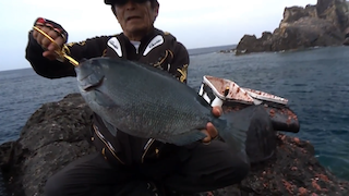 Gamakatsu MasterModel II ONAGA ISO RODS