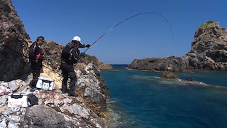 Gamakatsu MasterModel II ONAGA ISO RODS