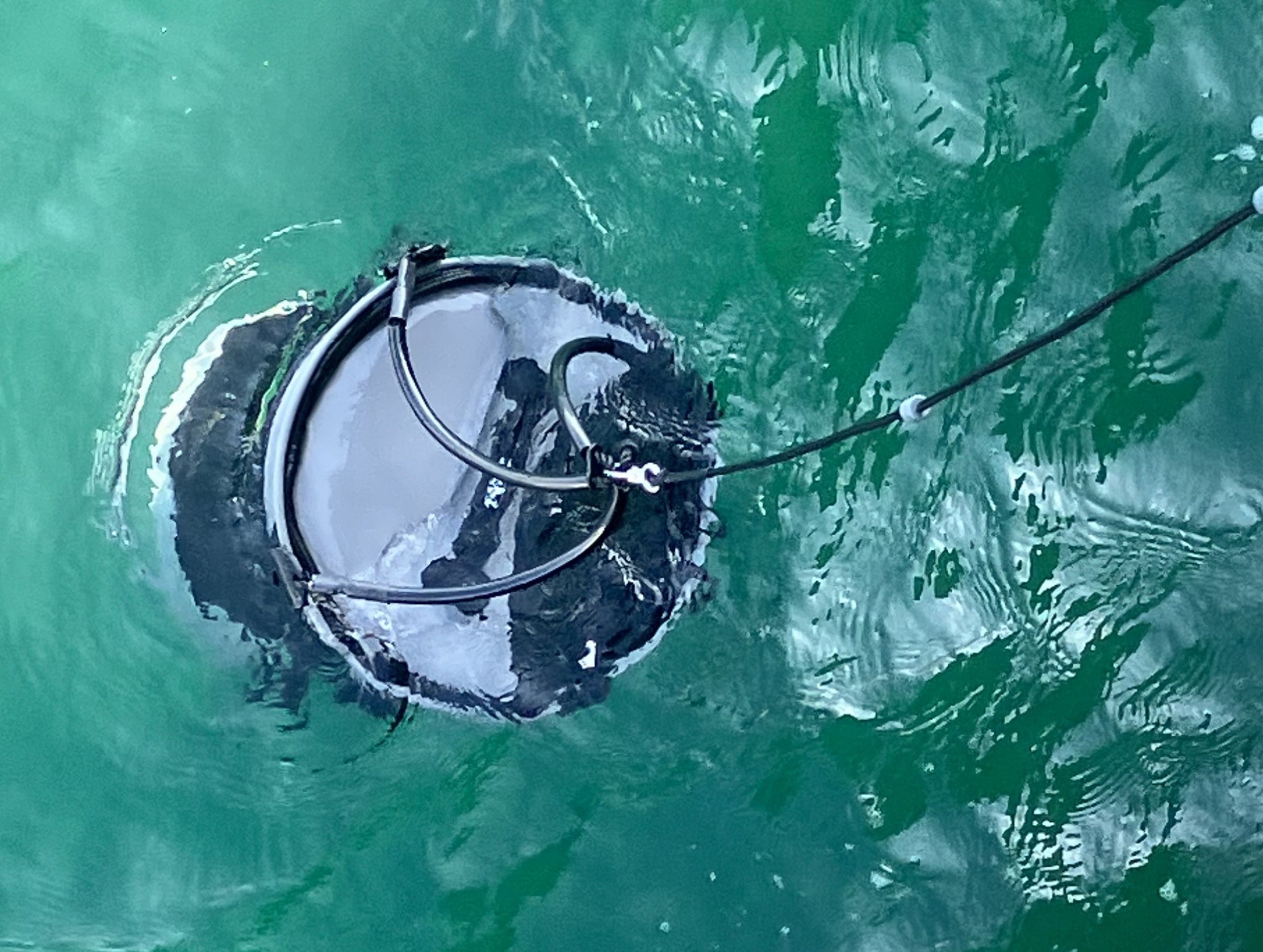 Gamakatsu Floating Round Fish Basket 33cm LE408