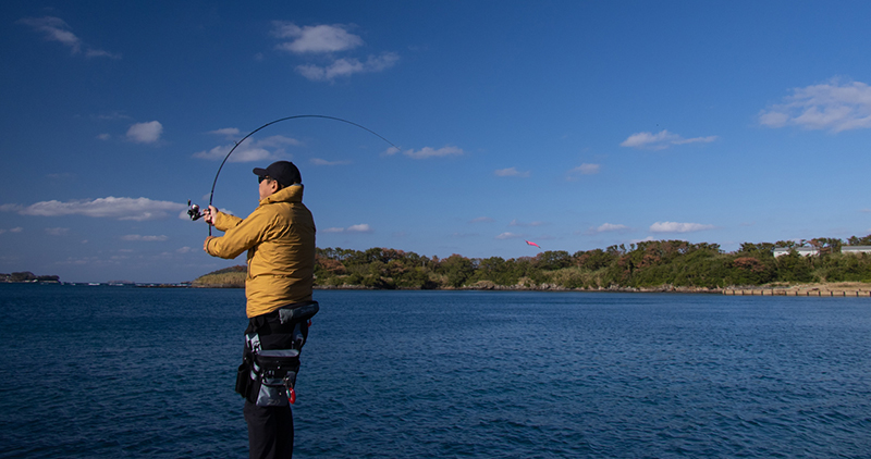 DAIWA EMERALDAS STOIST RT Racing Tune Squid Rods