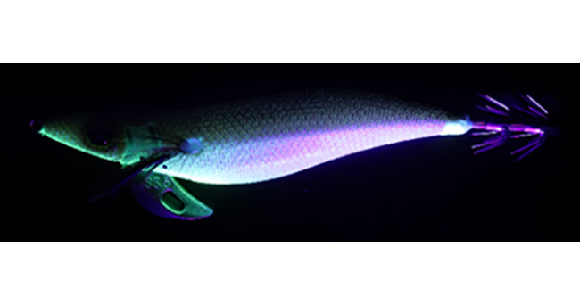 DAIWA EMERALDAS STAY RV 4.0