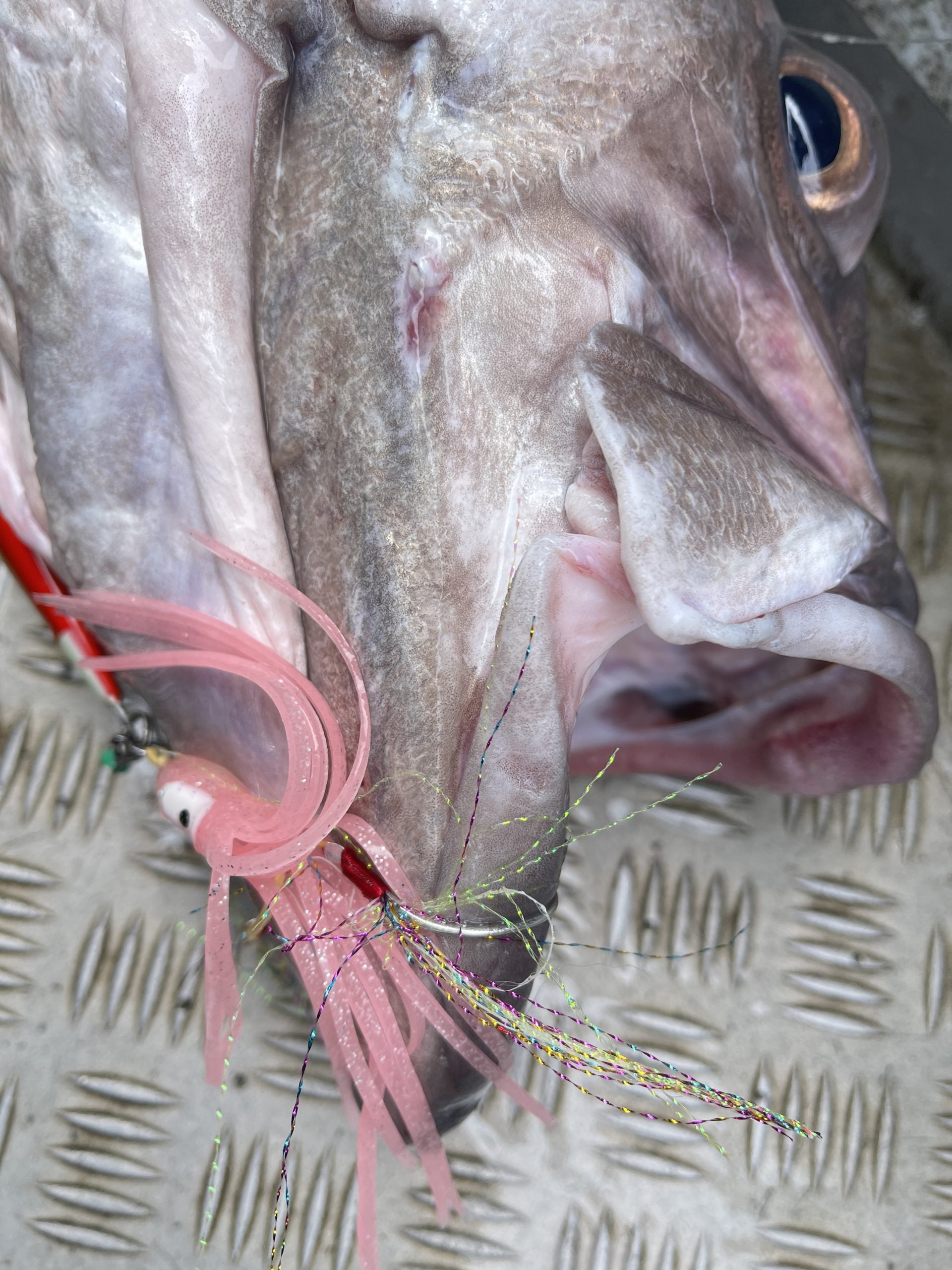 TST Shop Custom Jigging Assist Hooks