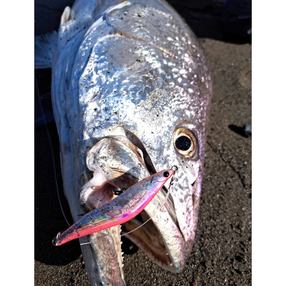 BLAZEYE REVOROOK 99S