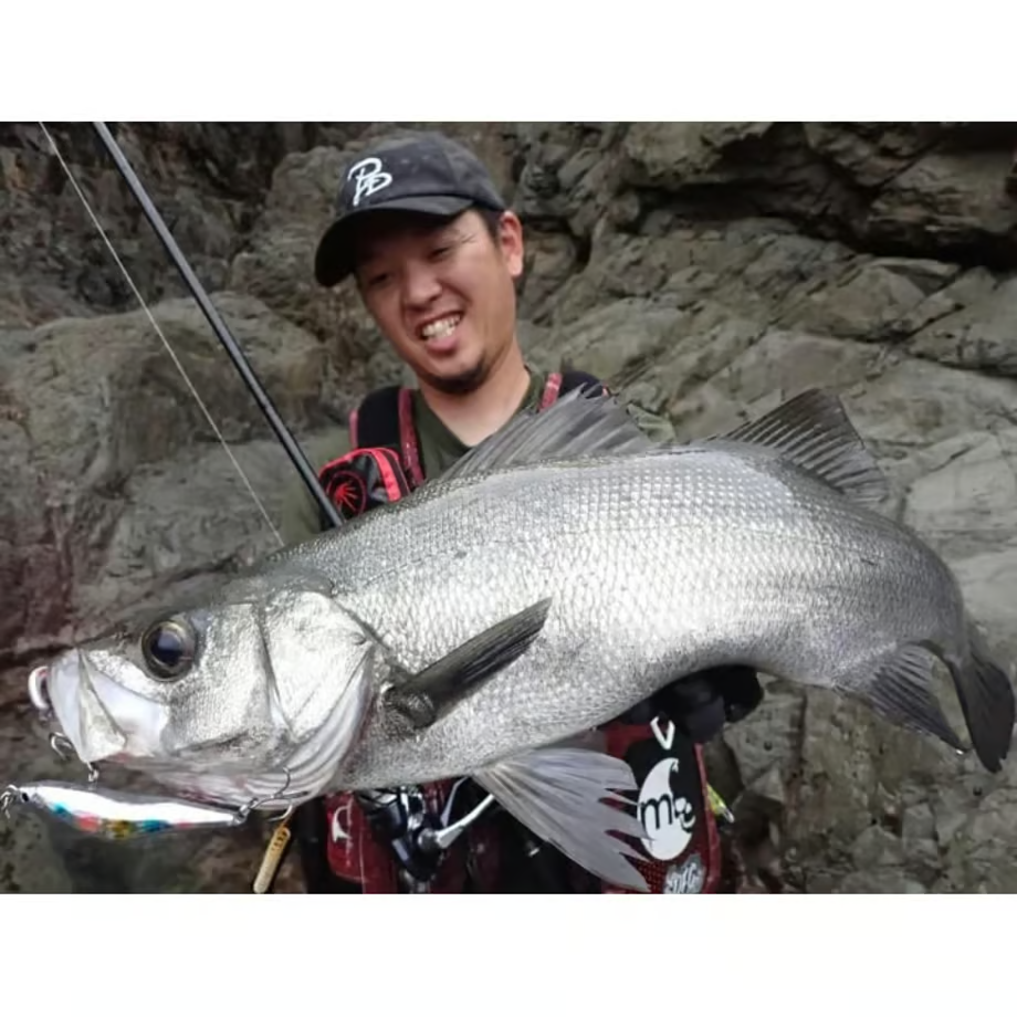 BLAZEYE REVOROOK 99S