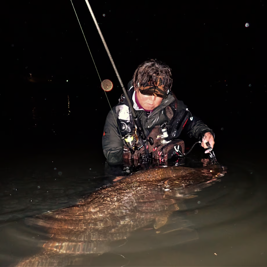 BLAZEYE REVOROOK 99S