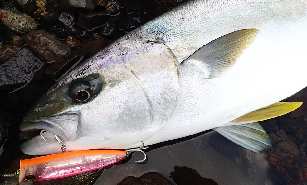 DUEL L-BLUE BUBBLE JET Floating Popper