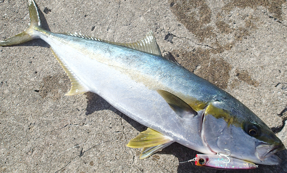 DUEL L-BLUE BUBBLE JET Floating Popper