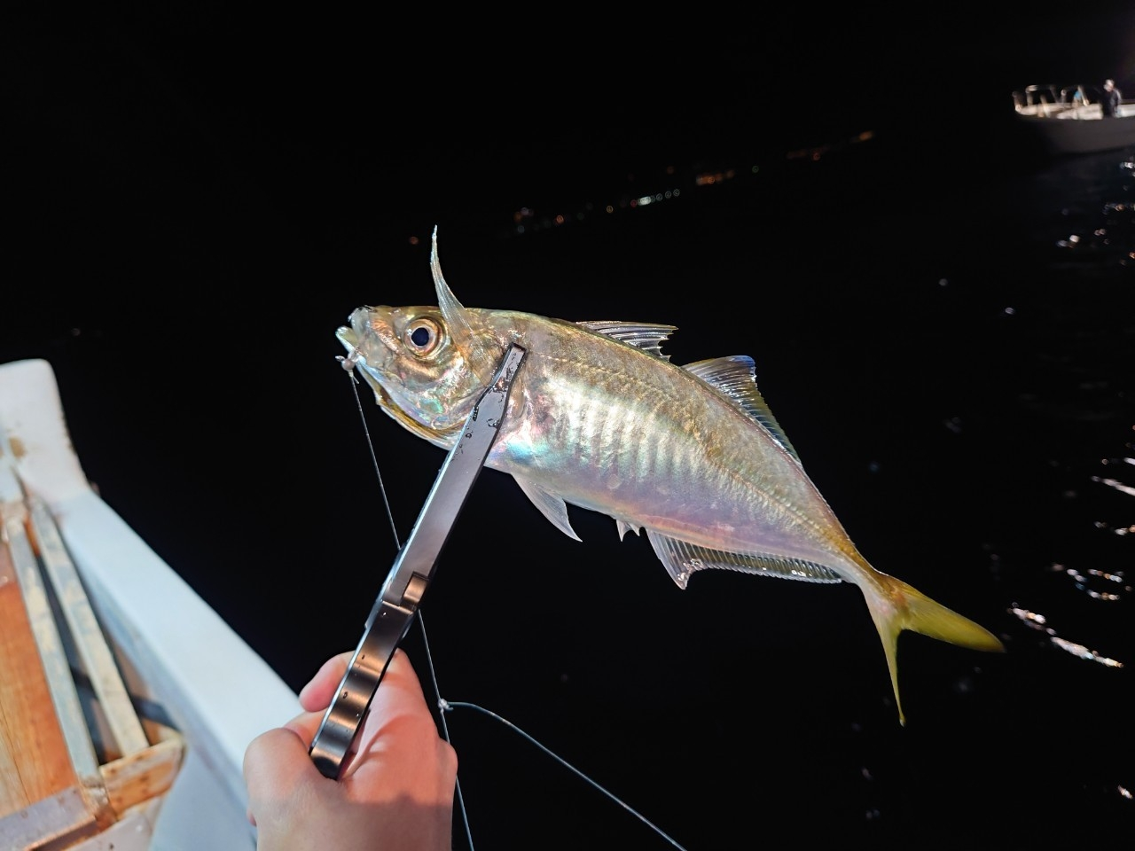 DAIICHISEIKO GAR GRIP MC CUSTOM