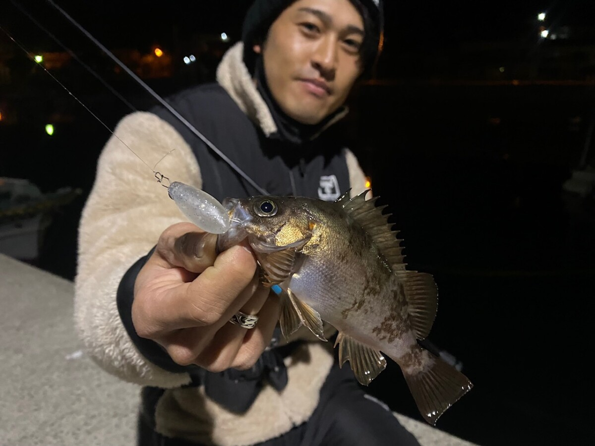 JACKALL MUTEBALL MINNOW 38F HYBRID MEBARING PLUG