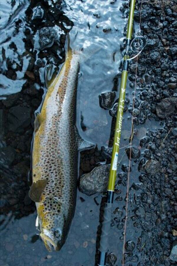 Jetslow * TULALA JetSetter 71S Travel Rod for all fishes