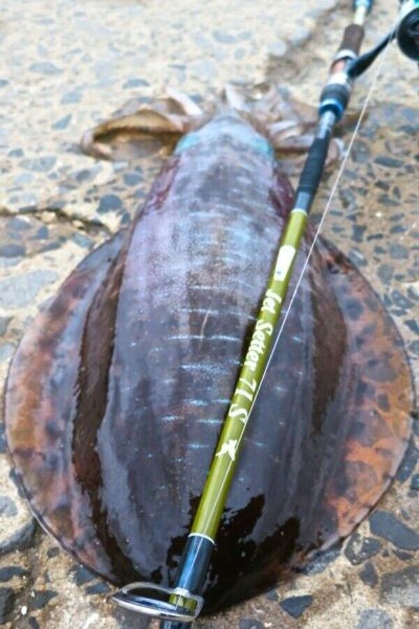 Jetslow * TULALA JetSetter 71S Travel Rod for all fishes