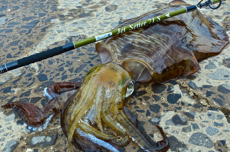 Jetslow * TULALA JetSetter 71S Travel Rod for all fishes