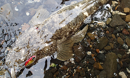 DUEL HARDCORE SOLID SPIN 22G SINKING