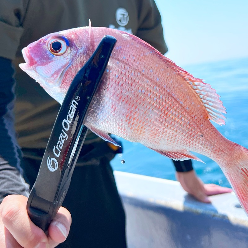 OCEAN KASHORO FISH GRIP MADE IN JAPAN