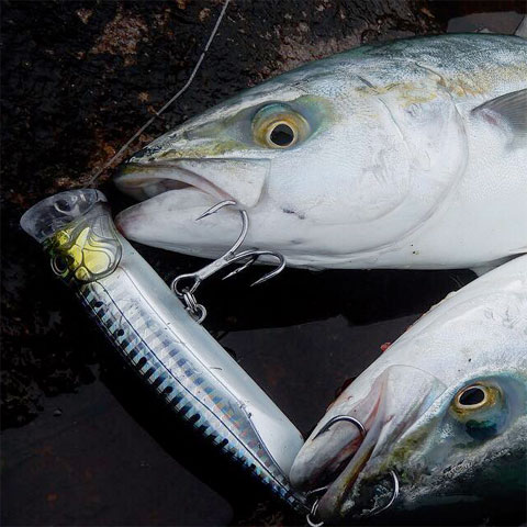 TACKLE HOUSE FEED POPPER 60g with Hooks