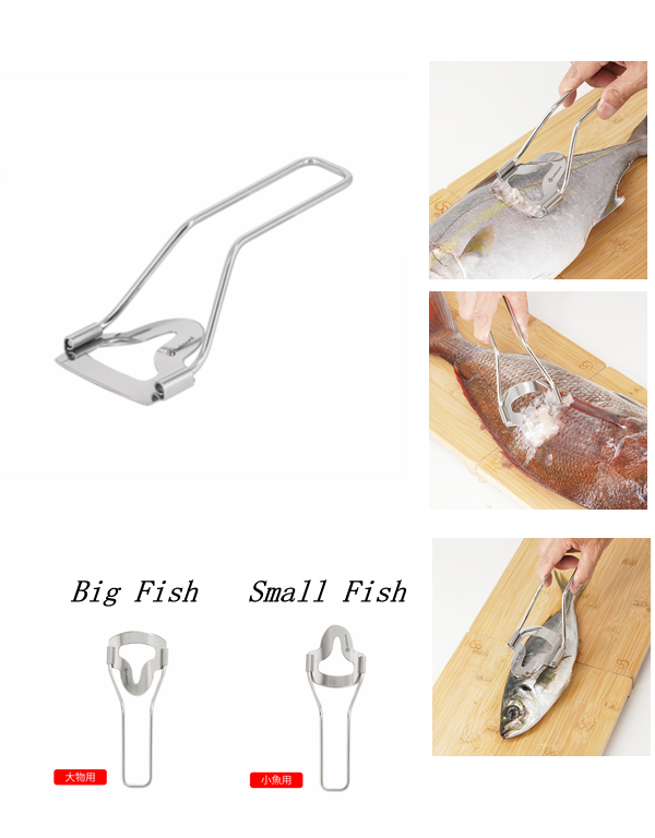 BELMONT 2024 TWO-WAY SCALER MP-081