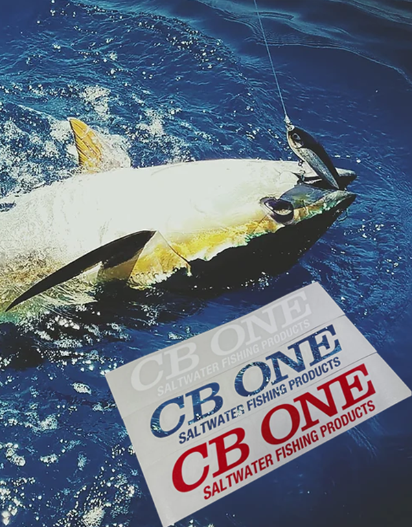 CB ONE CUTTING STICKER