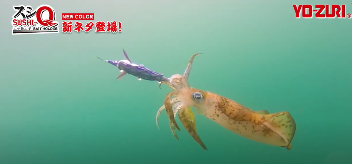 YOZURI SUSHI Q (BAIT-WRAPPED SQUID JIG) FOR BOTTOM USE #3.5