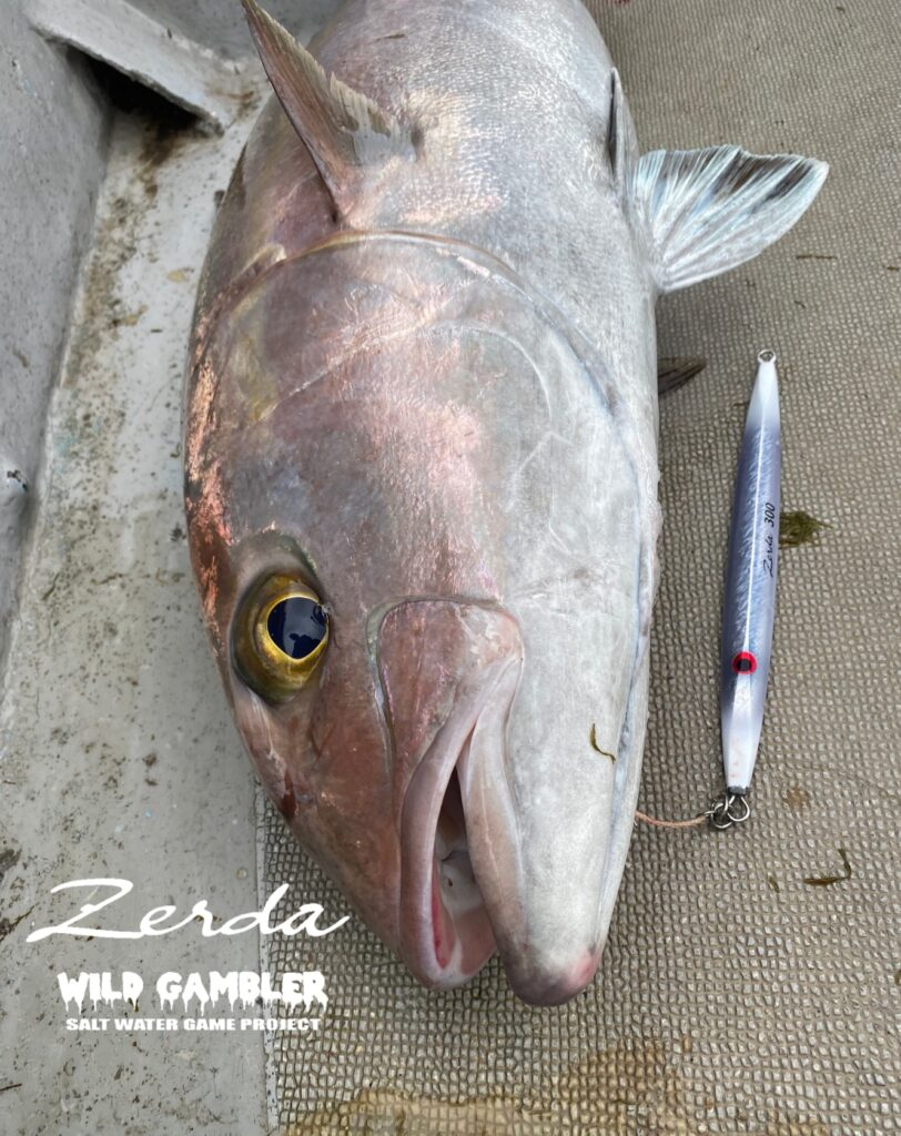 WILD GAMBLER ZERDA JIGS 300g/400g