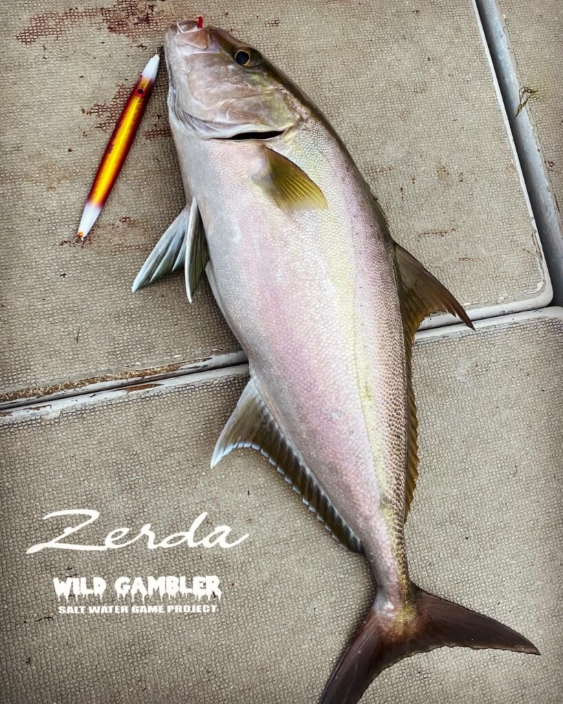 WILD GAMBLER ZERDA JIGS 300g/400g