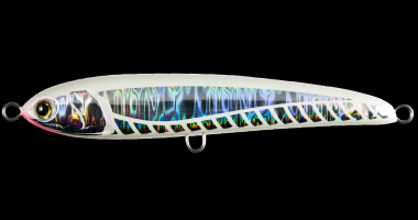 Maria Rapido F160 New Colours 2024