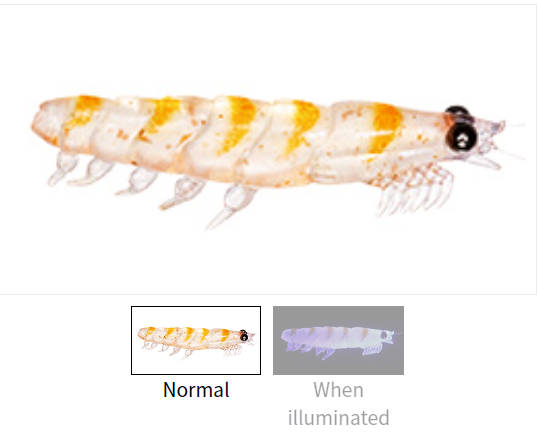 Daiwa Real Krill Worm Tough LL and 3L