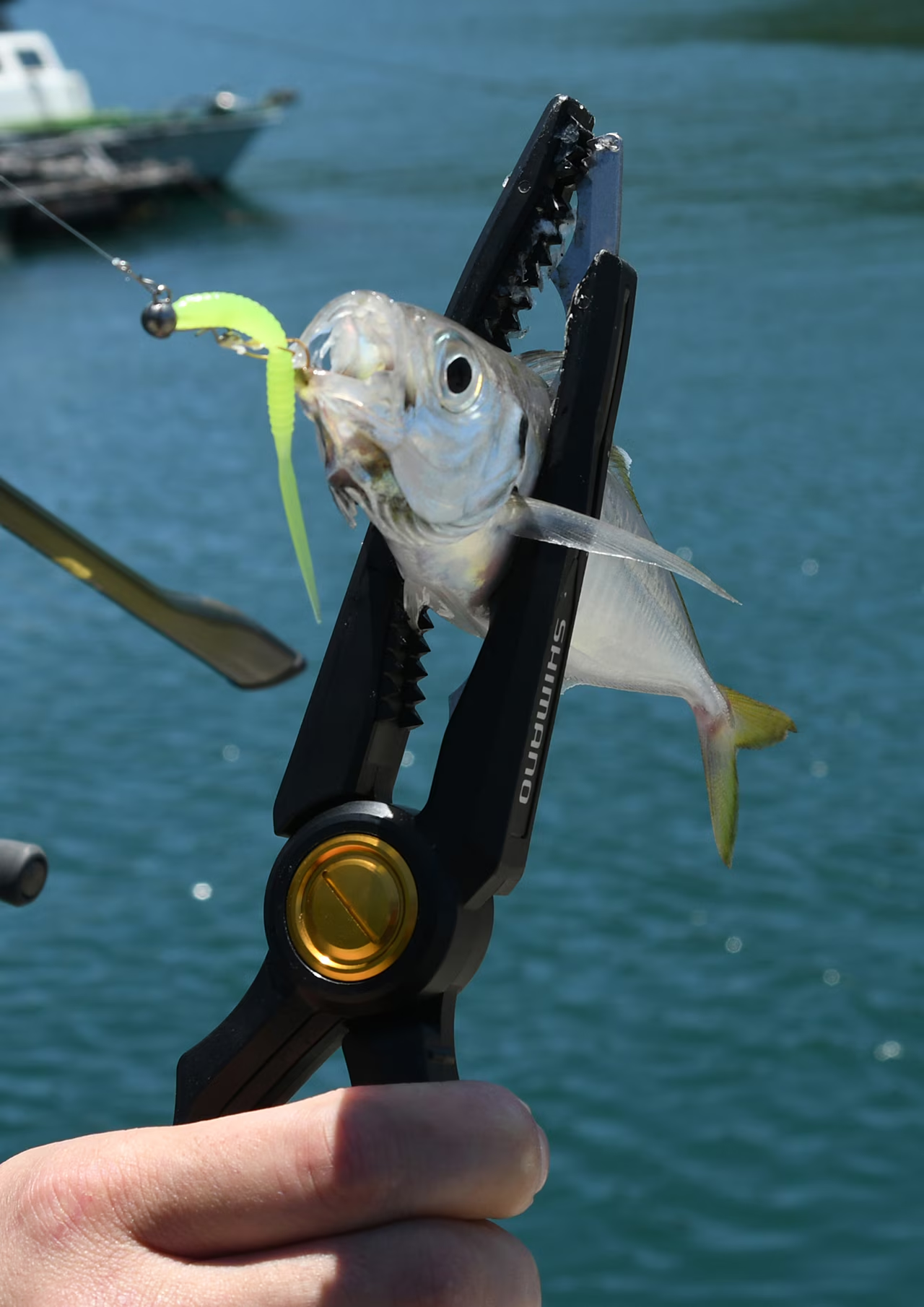 SHIMANO JDM Light Gripper (Black and Orange)