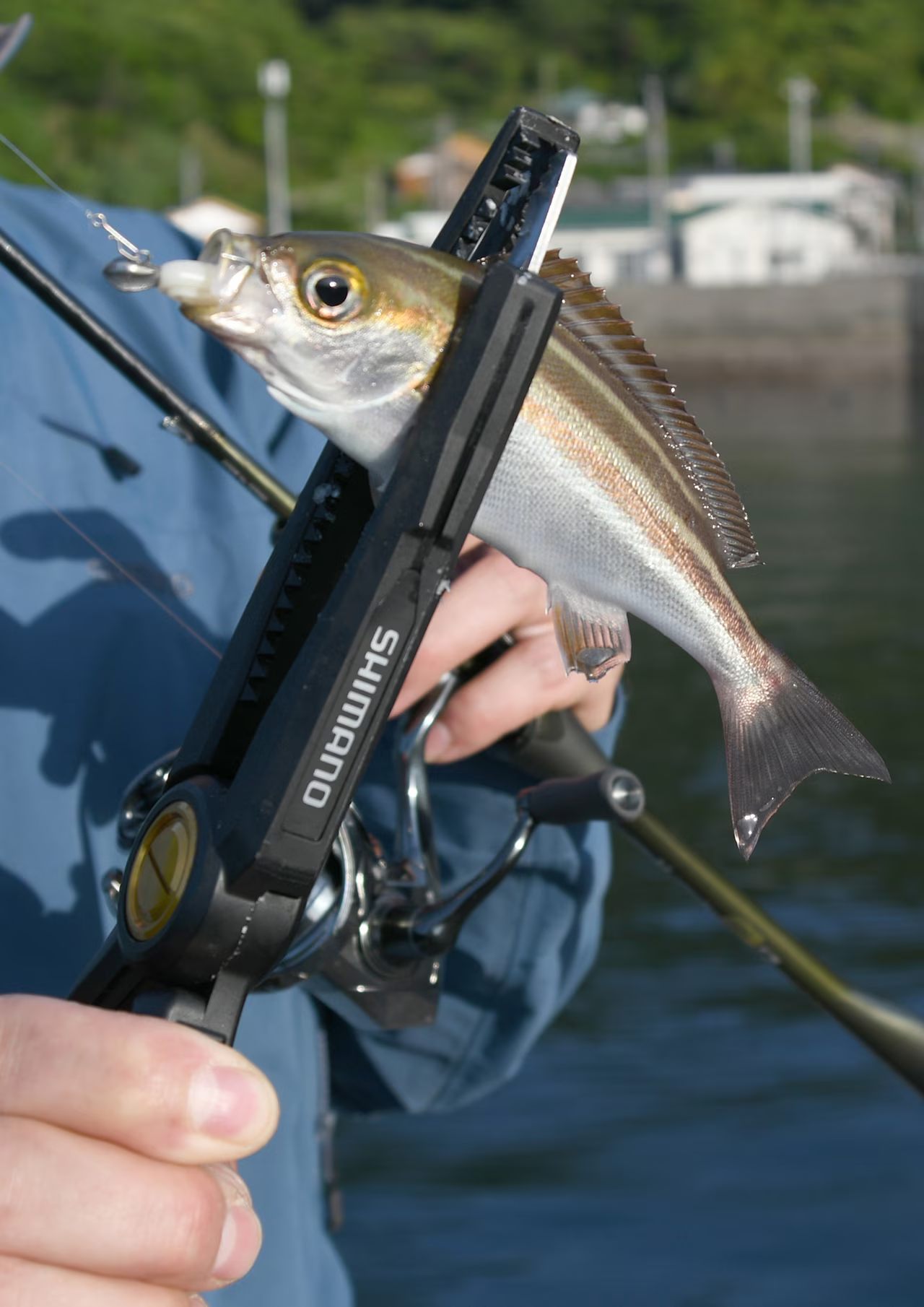 SHIMANO JDM Light Gripper (Black and Orange)