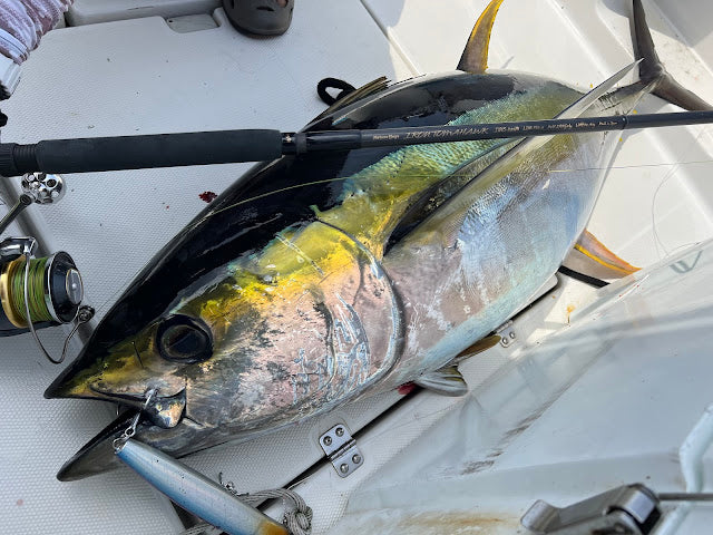 Nature Boys Pelican 220F - 2025