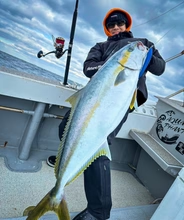 Nature Boys RAVEN (Watarigarasu) 180F October 2025 New releases