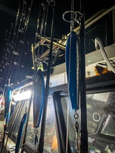 Nature Boys RAVEN (Watarigarasu) 180F October 2025 New releases