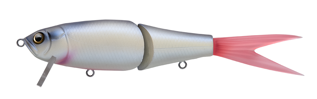 FISH ARROW x DRT RiSER JACK Jr.